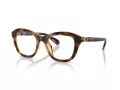 Swarovski Brillen SK 2042U 1002