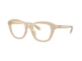 Swarovski Brillen SK 2042U 1034