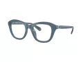 Swarovski Brillen SK 2042U 1035