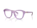 Swarovski Brillen SK 2042U 1075