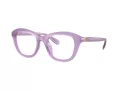 Swarovski Brillen SK 2042U 1075