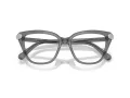 Swarovski Brillen SK 2045 1072