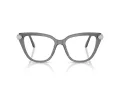 Swarovski Brillen SK 2045 1072