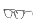 Swarovski Brillen SK 2045 1072