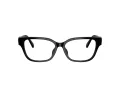Swarovski Brillen SK 2049D 1001