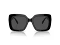 Swarovski Sonnenbrille SK 6001 100187