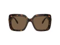 Swarovski Sonnenbrille SK 6001 100273