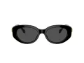 Swarovski Sonnenbrille SK 6002 100187