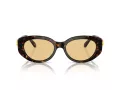 Swarovski Sonnenbrille SK 6002 1002/8