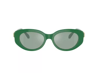 Swarovski Sonnenbrille SK 6002 10079C