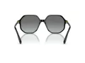 Swarovski Sonnenbrille SK 6003 100111