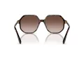 Swarovski Sonnenbrille SK 6003 100213