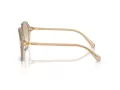 Swarovski Sonnenbrille SK 6003 103411