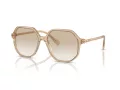 Swarovski Sonnenbrille SK 6003 103411