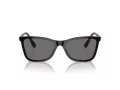Swarovski Sonnenbrille SK 6004 100181