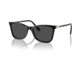Swarovski Sonnenbrille SK 6004 100187