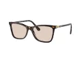 Swarovski Sonnenbrille SK 6004 1002M4