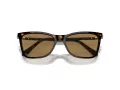 Swarovski Sonnenbrille SK 6004 1002M4