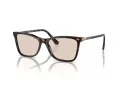 Swarovski Sonnenbrille SK 6004 1002M4