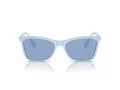 Swarovski Sonnenbrille SK 6004 10061U