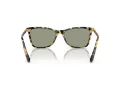 Swarovski Sonnenbrille SK 6004 1009/2