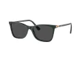 Swarovski Sonnenbrille SK 6004 102687