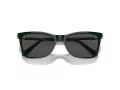 Swarovski Sonnenbrille SK 6004 102687