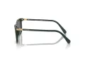 Swarovski Sonnenbrille SK 6004 102687