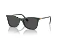 Swarovski Sonnenbrille SK 6004 102687