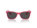 Swarovski Sonnenbrille SK 6004 103687
