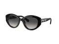 Swarovski Sonnenbrille SK 6005 10018G