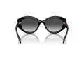 Swarovski Sonnenbrille SK 6005 10018G