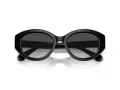 Swarovski Sonnenbrille SK 6005 10018G