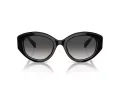 Swarovski Sonnenbrille SK 6005 10018G