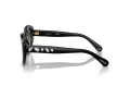 Swarovski Sonnenbrille SK 6005 10018G