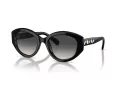 Swarovski Sonnenbrille SK 6005 10018G