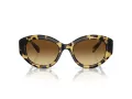 Swarovski Sonnenbrille SK 6005 100913