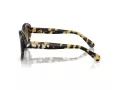 Swarovski Sonnenbrille SK 6005 100913