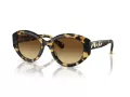 Swarovski Sonnenbrille SK 6005 100913