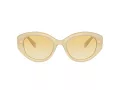 Swarovski Sonnenbrille SK 6005 10232Q