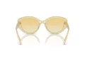 Swarovski Sonnenbrille SK 6005 10232Q