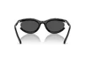 Swarovski Sonnenbrille SK 6006 100187