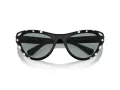 Swarovski Sonnenbrille SK 6007 1020/1