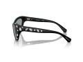 Swarovski Sonnenbrille SK 6007 1020/1