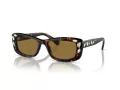 Swarovski Sonnenbrille SK 6008 100273