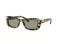 Swarovski Sonnenbrille SK 6008 1009/2