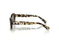 Swarovski Sonnenbrille SK 6008 1009/2