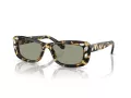 Swarovski Sonnenbrille SK 6008 1009/2