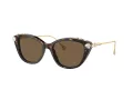 Swarovski Sonnenbrille SK 6010 100273