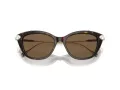 Swarovski Sonnenbrille SK 6010 100273